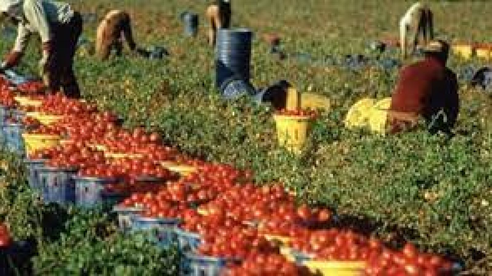 IL PD DI BASILICATA ADERISCE ALLA FIACCOLATA “DIGNITÀ E SICUREZZA PER CHI LAVORA LA TERRA”