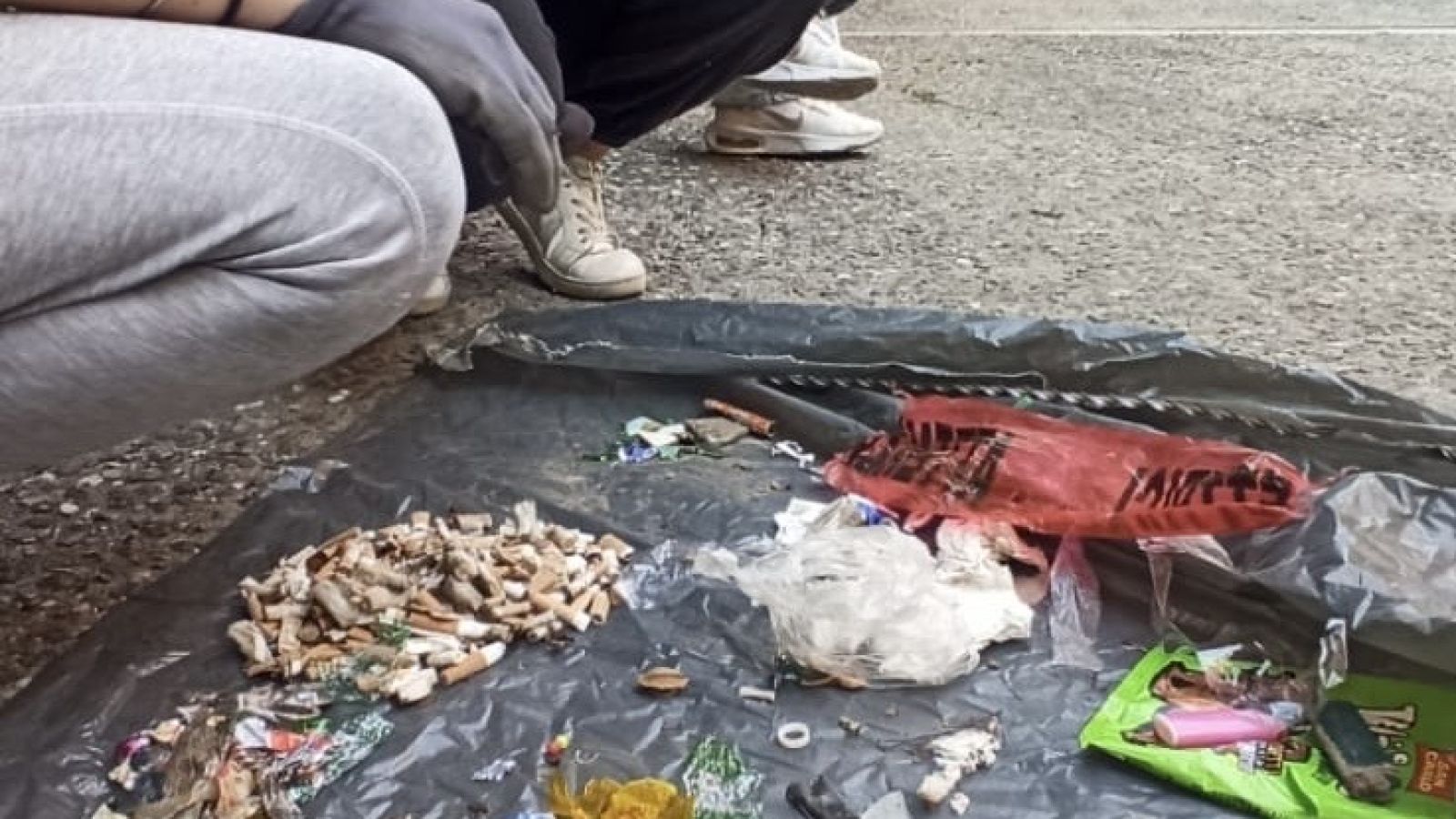 LEGAMBIENTE: PER I PARCHI DI POTENZA SERVE UNA GESTIONE MIGLIORE