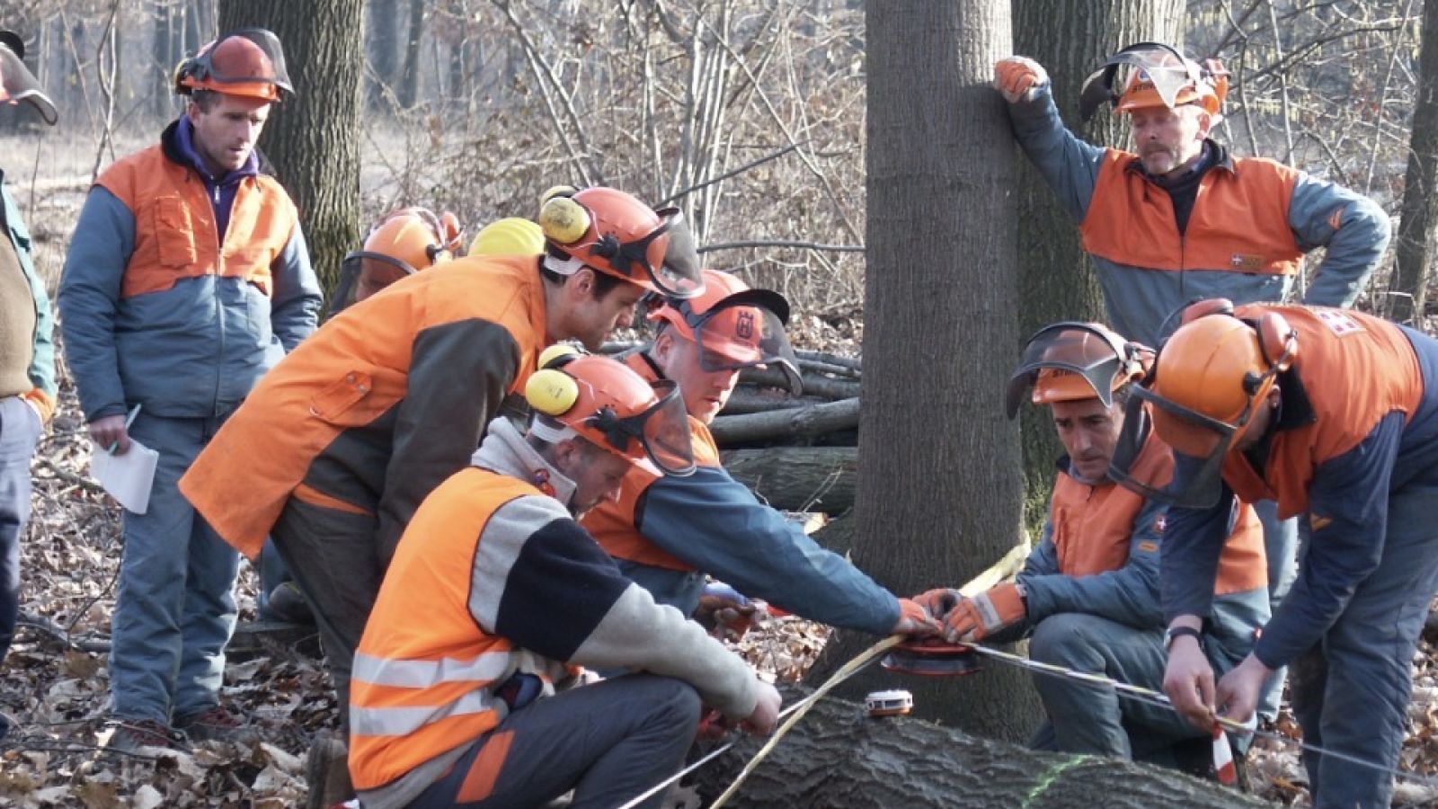 SAAP, ASA E FORESTALI: LA MOZIONE DEL MOVIMENTO 5 STELLE