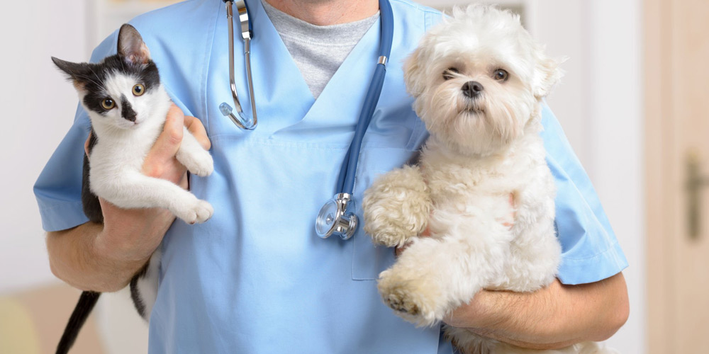 FORMARE PER SALVARE: A POTENZA NASCE